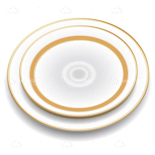 Elegant Plate with Golden Borders